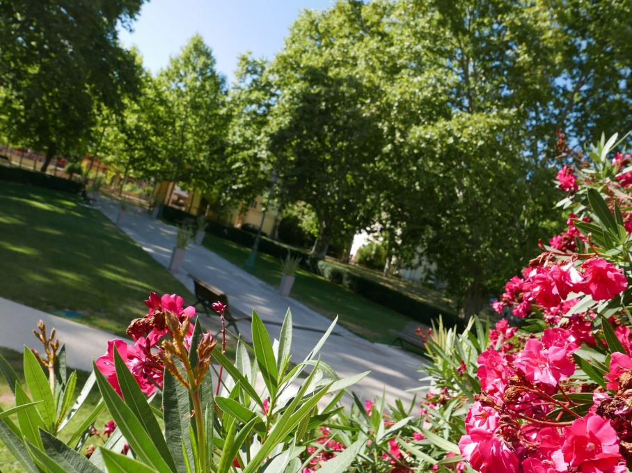 Parc d'Allègre-les-Fumades