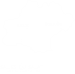 Carte Salies-du-Salat