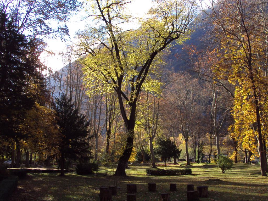 Parc thermal - Thermes Ussat-les-Bains