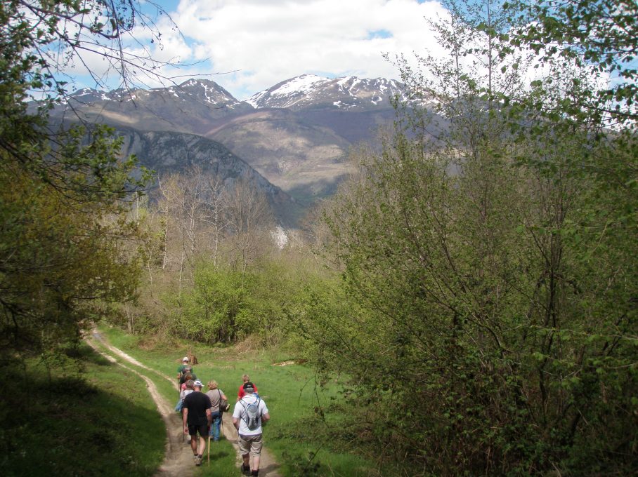 Sortie naturaliste dans les Pyrénées Ariégeoises